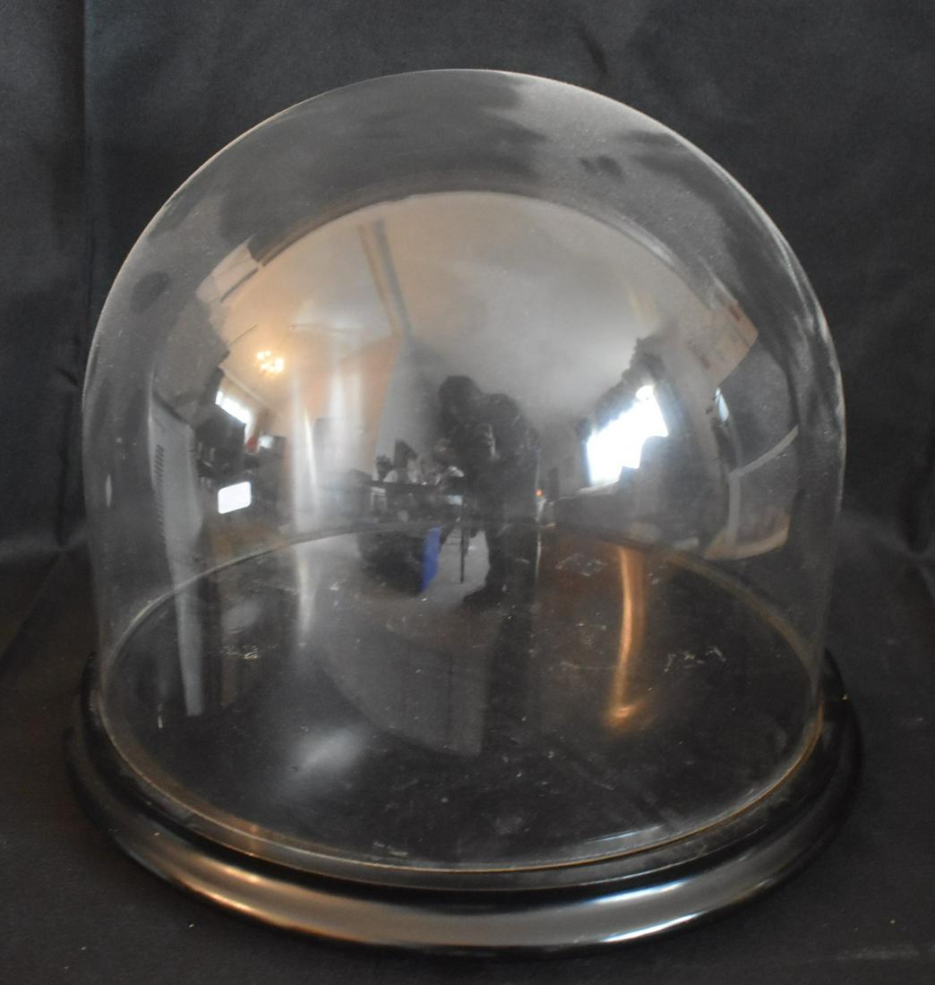 Antique Domed Glass Display Case. (1 of 1)