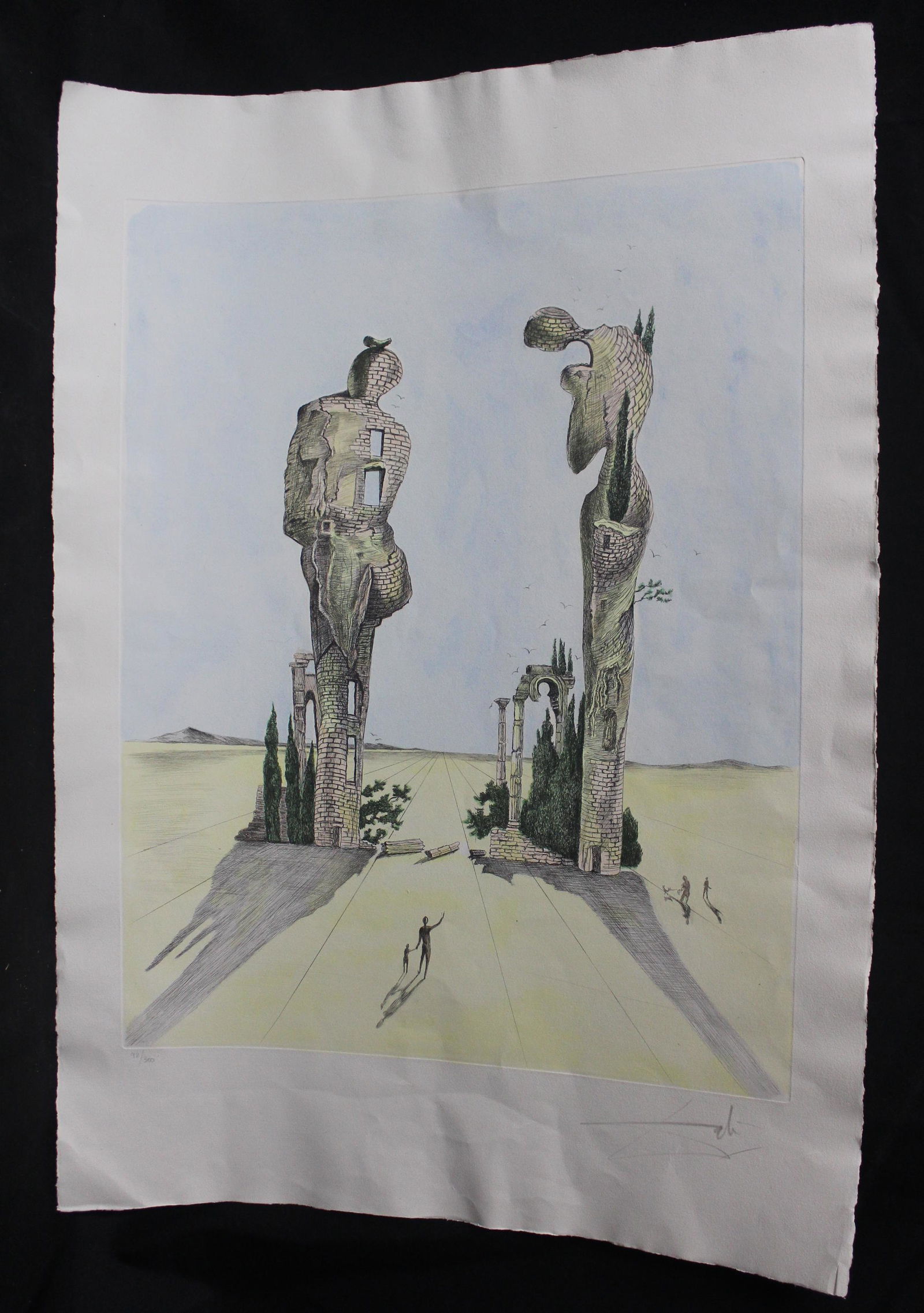Original Dali Colored Etching. Signed (1 of 7)