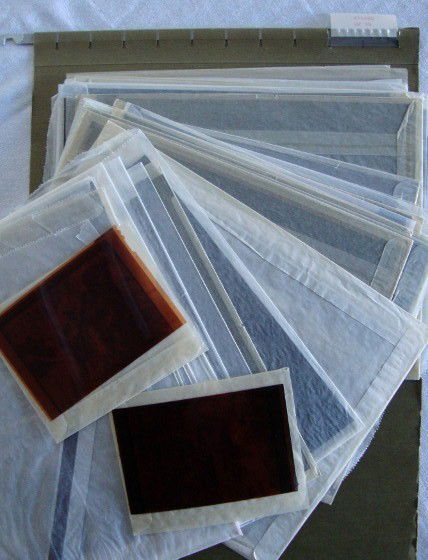 LOT OF 38 WIZARD OF OZ NEGATIVES: Lot of 38 Wizard of OZ Negatives. 36 are 8" x 10" b&w and 2 are 3-1/4" x 5 color negatives. VF