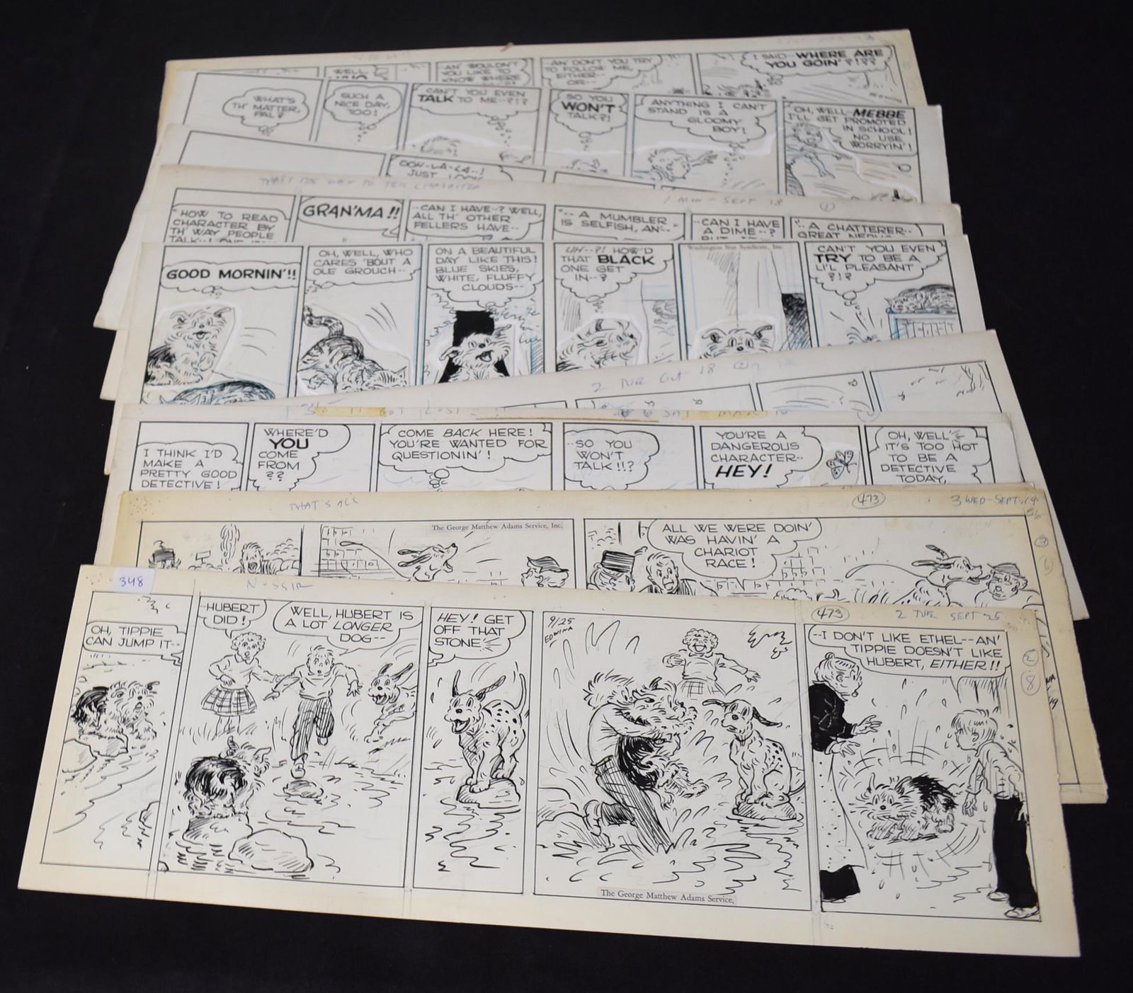 Edwina. Original Cartoon Strips for Tippie (12) (1 of 3)