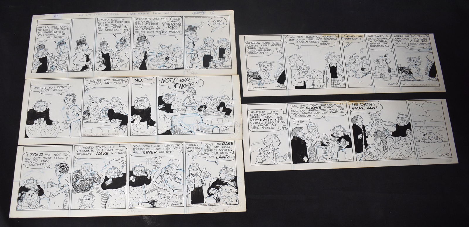 Edwina. Original Cartoon Strips for Tippie (5) (1 of 1)