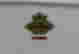 item-131809063=3