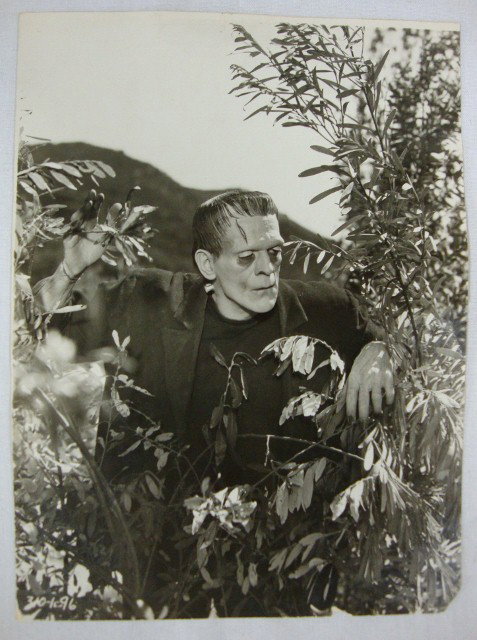 8 KARLOFF / LUGOSI HORROR MOVIE STILLS: A caged Boris Karloff in Devil's Island; Karloff with Ralph Penny in The Devil Commands; Karloff as Frankenstein (#'d 310-1-96); Bela Lugosi as Count Dracula preparing to bite Mina's neck (#'d PC544);