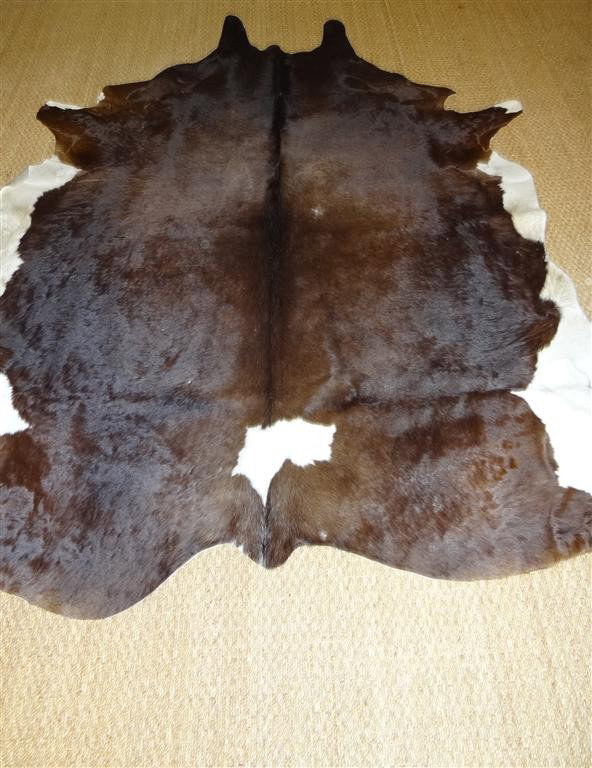 ARGENTINIAN BROWN & WHITE COW SKIN: 89" X 76"