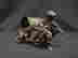 item-10206017=2