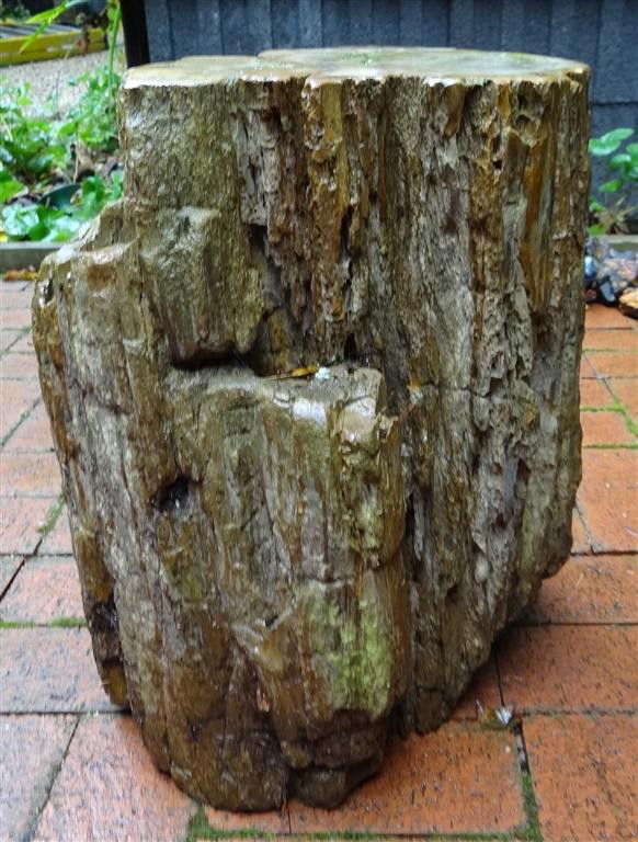 PETRIFIED WOOD SIDE TABLE: In the form of a log. 16-1/2" high