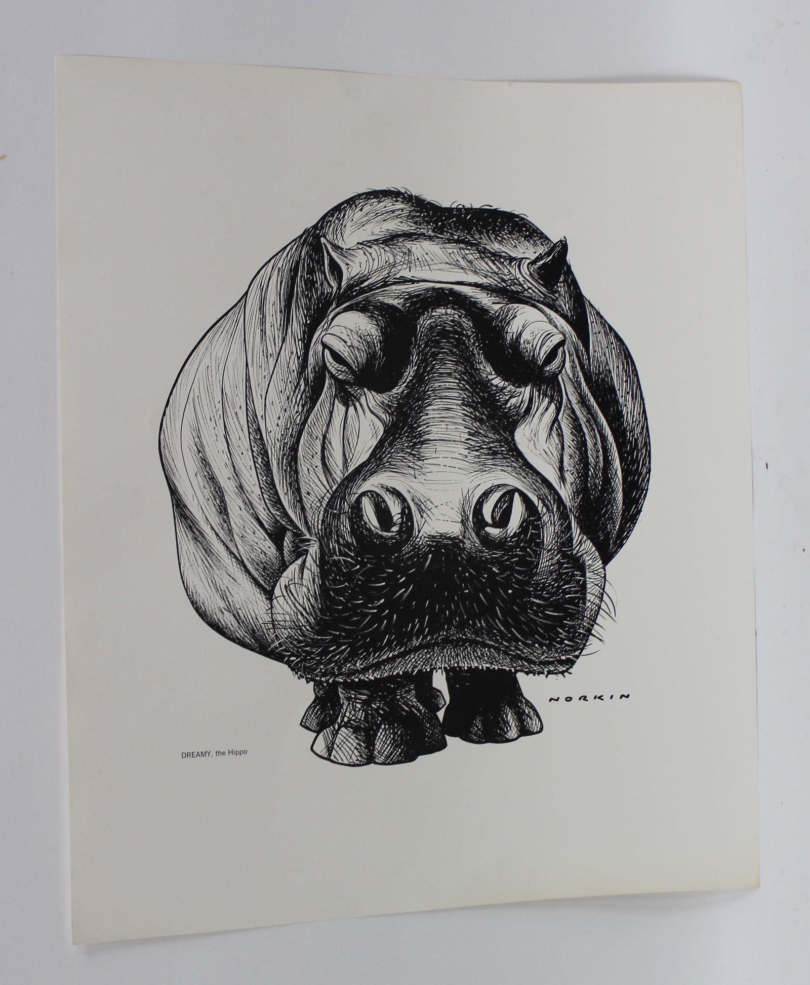 Sam Norkin Print & Photograph (1 of 3)