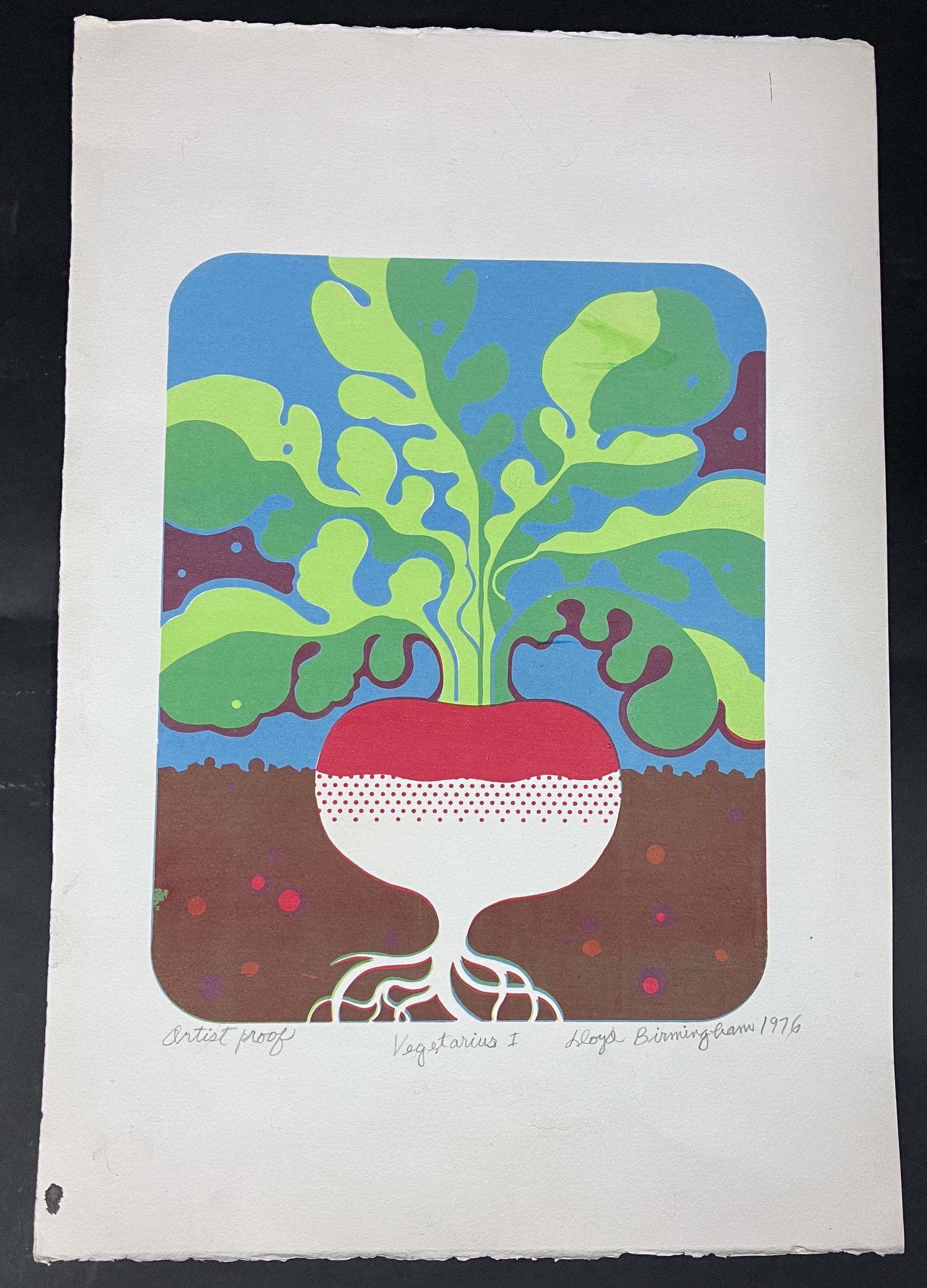 Lloyd Birmingham Silkscreen.  Artist Proof (1 of 2)