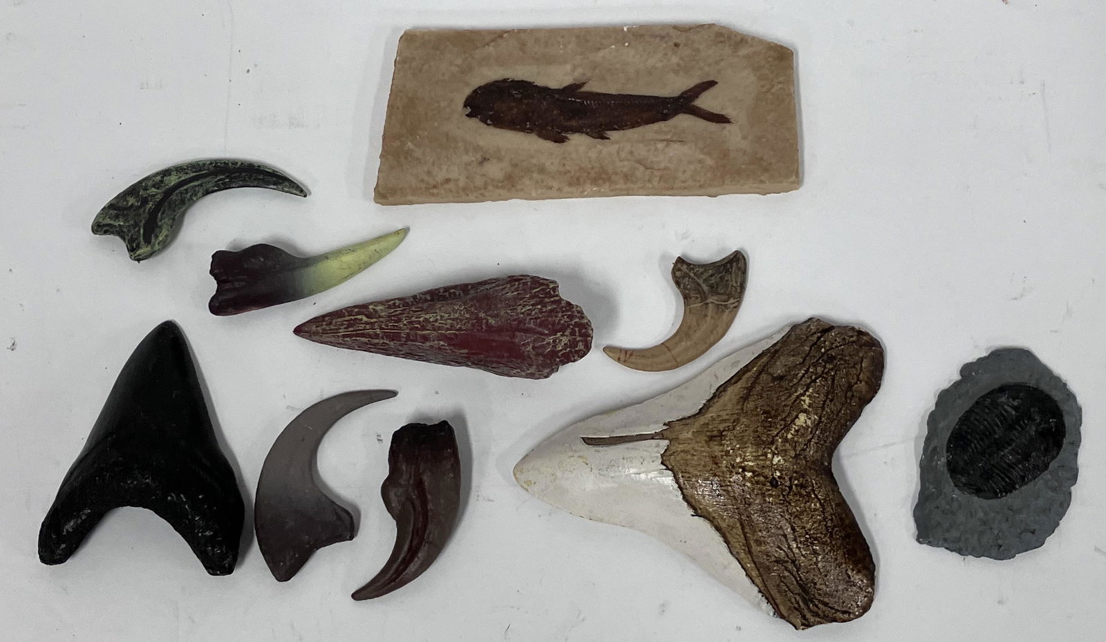 Lot of Replica Fossils (10): Ten in the lot. As pictured