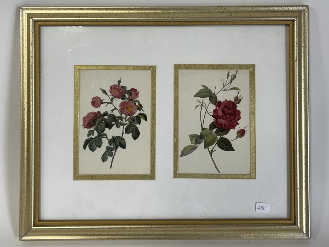 Botanical Prints, Roses, Gallery Framed (1 of 2)