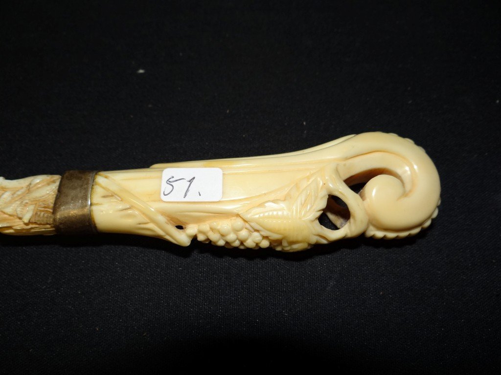 Fancy ivory pointer - 4