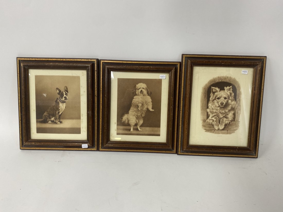Collector or Dealer’s Lot of Dog Prints (3): One sepia toned, framed. 12 1/4" x 10 1/2" and two additional , framed alike 13 1/2" x 10 1/2" and 12 1/4" x 10 1/2". Three in the lot