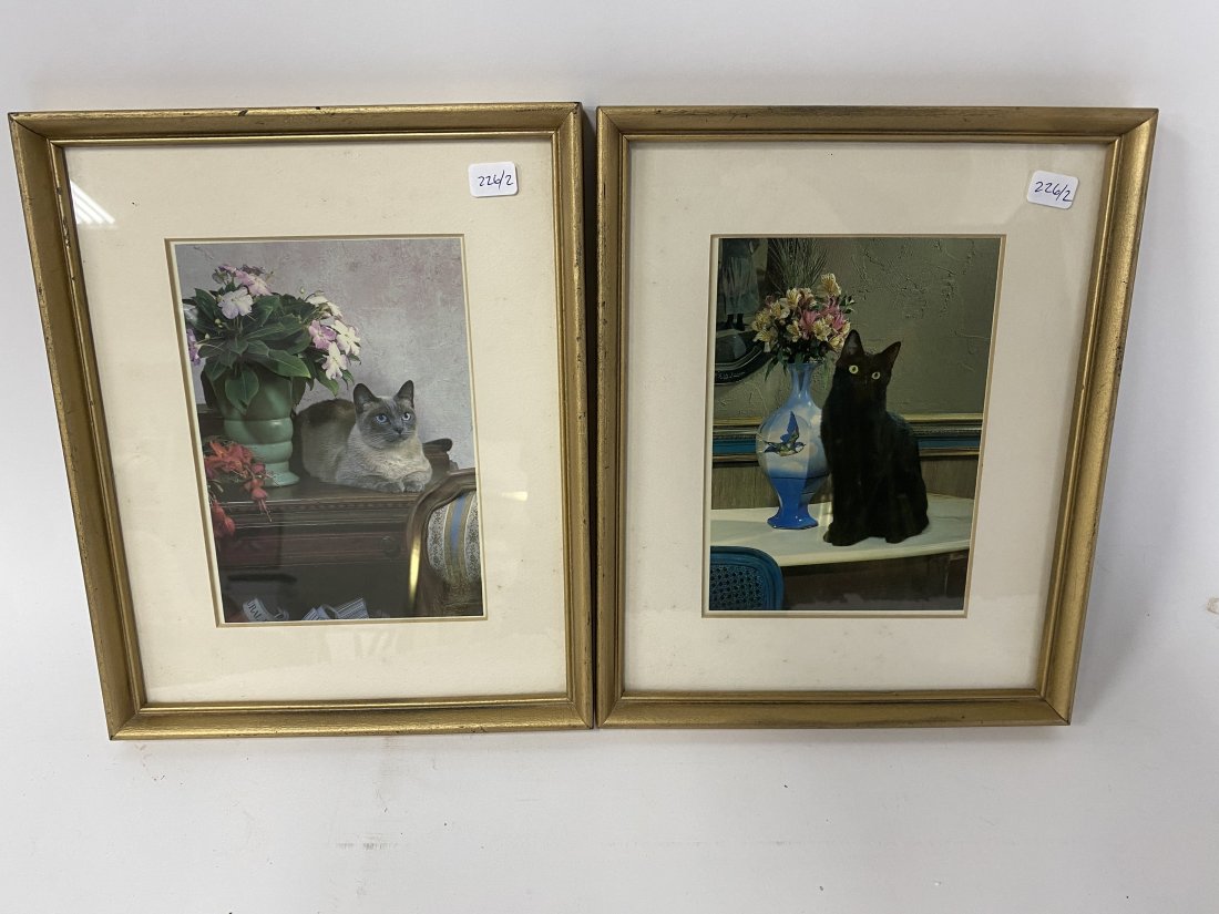 Cat Prints (2): Framed. 10 1/2"H x 8 3/4"W