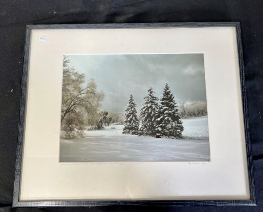 Zungoli. Ltd. Ed. Lithograph. Snow Covered Spruces (1 of 5)
