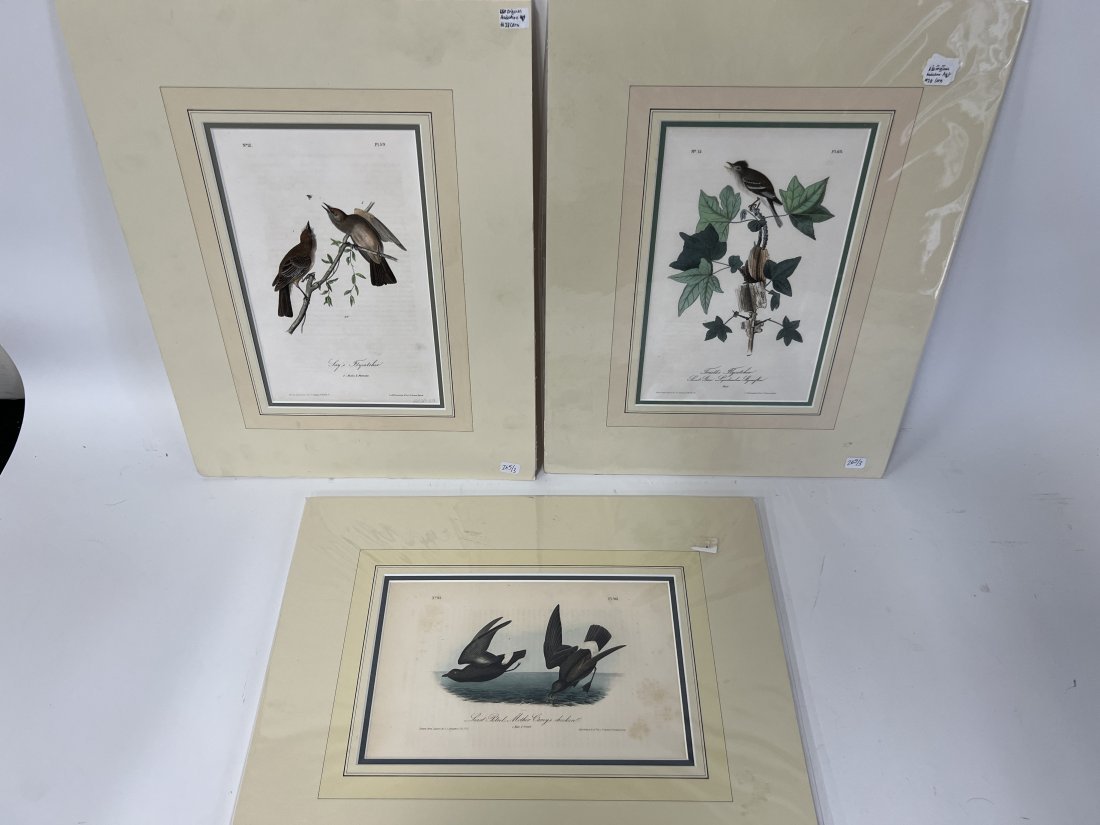 Audubon Lithographs (3) (1 of 4)