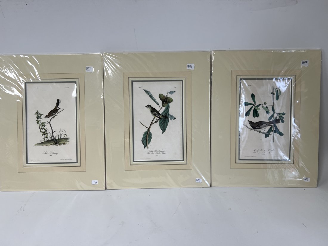 Audubon Lithographs (3) (1 of 4)