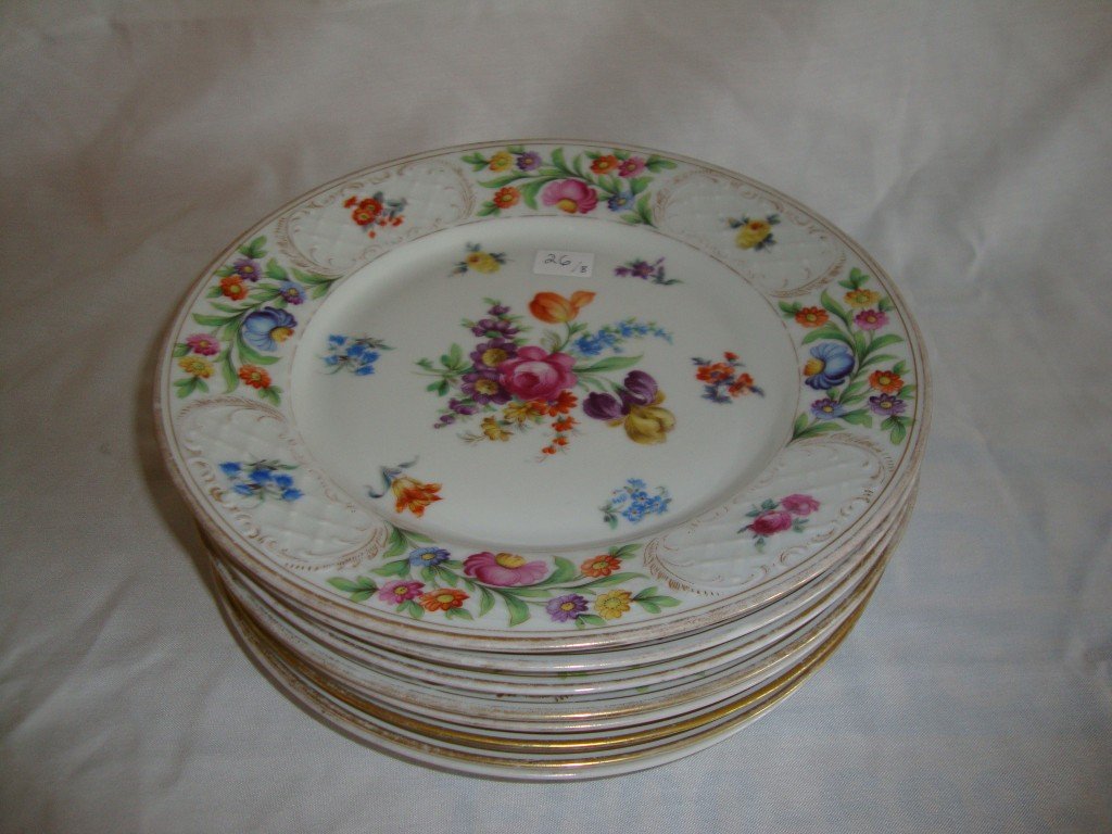 Dresden Floral Plates (8): Very similar in coloring and shape but some variations. Dresden Schumann Bavarian blue mark with lion on all. 9 3/4"W