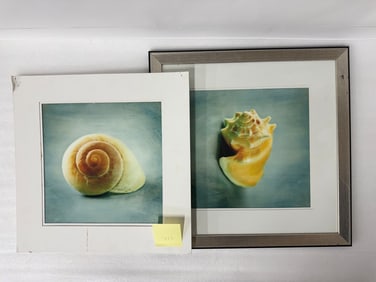 Seashell Lithograph & a Second