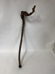 Walking Stick Tree Branch