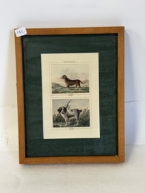 Antique Dog Engravings Framed