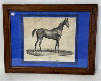 German Litho. Horse. Olympia