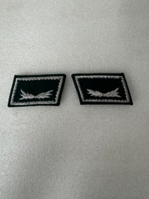 WW2 German Custom Officials Collar Tabs