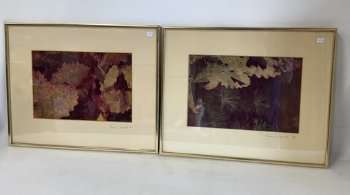 Vance Howard; Two(2) Framed Photographs