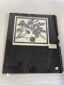 India Ink Drawings (2) One Sgd. Annie