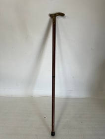 Vintage Walking Stick