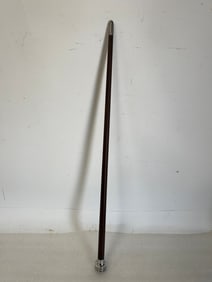 Vintage Walking Stick