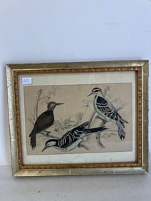 Antique Colored Lithograph , Birds.