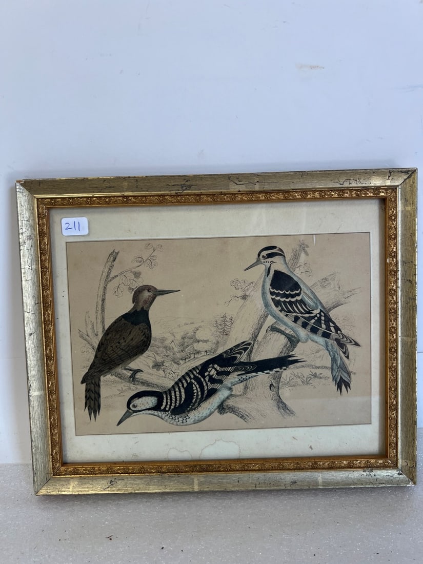 Antique Colored Lithograph , Birds. (1 of 2)