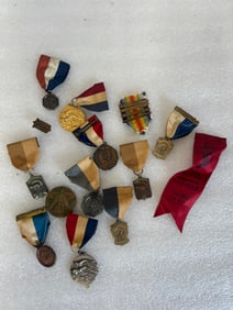 Collector's Lot of Badges (13)