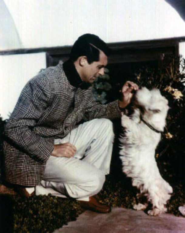 Cary Grant Original Negatives (10): Color. Mostly close-up publicity portraits. One with Ingrid Bergman and two with Deborah Kerr; a candid with his pup. Included in the lot are ten prints made from the negatives.