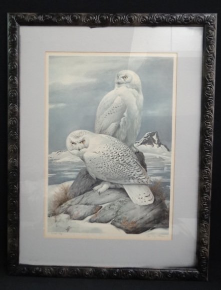 Roger Tory Peterson Artist Proof: Snowy Owls. 1976 Marked Artist Proof and numbered 950. 31"H. x 22.5"W. Unframed.