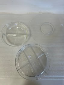 Pyrex Divided Dish & Two Others. (3)