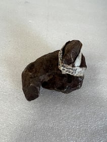 Campo Del Cielo Argentini Meteorite