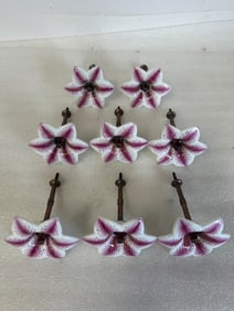Lot of Porcelain Tie Backs-4 Pr.