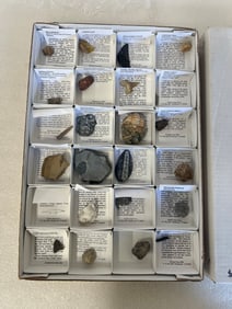 Flat 24 Pcs Fossil Collection.