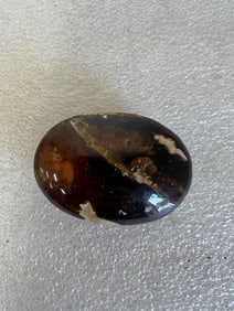 31.2 Grams Indonesian Amber Palm Stone