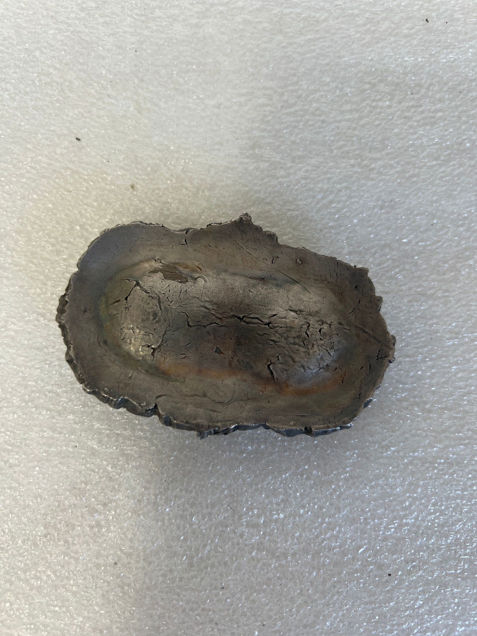 Ancient Fossil (1 of 2)