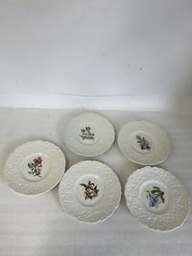 Royal Cauldon Bristol Ironstone Plates(5)
