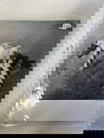 Christy Foushee 1962 Statistics Poster & Photo: 1962 statistic photographic poster for Christy Foushee with images. Included an 8" x 10" pin up of this model