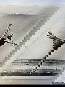 Rarely Seen Bunny Yeager Photo: 20" x 16" Gelatin Silver Double Weight Hand Printed