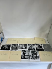 Bettie Page Photographs (44) and a Negative