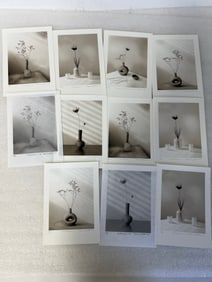 Dale Leifeste Metastasis Series Lithographs