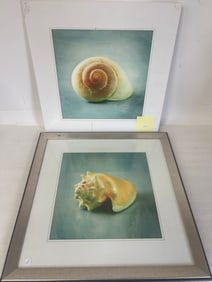 Snail Prints (2)