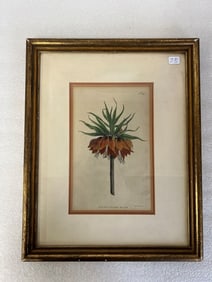 Ltd. Ed. Lithograph W. Curtis 1792