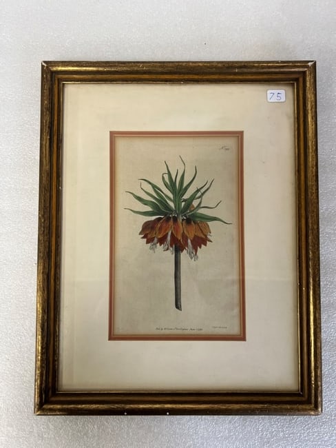 Ltd. Ed. Lithograph W. Curtis 1792 (1 of 2)