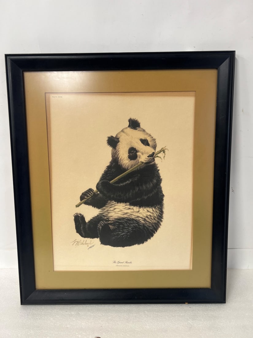 Guy Coheleach Ltd. Ed.Litho Giant Panda: Sgd. L. L. Plate No. XXV!! is upper left. Framed. 25 3/4" x 22"